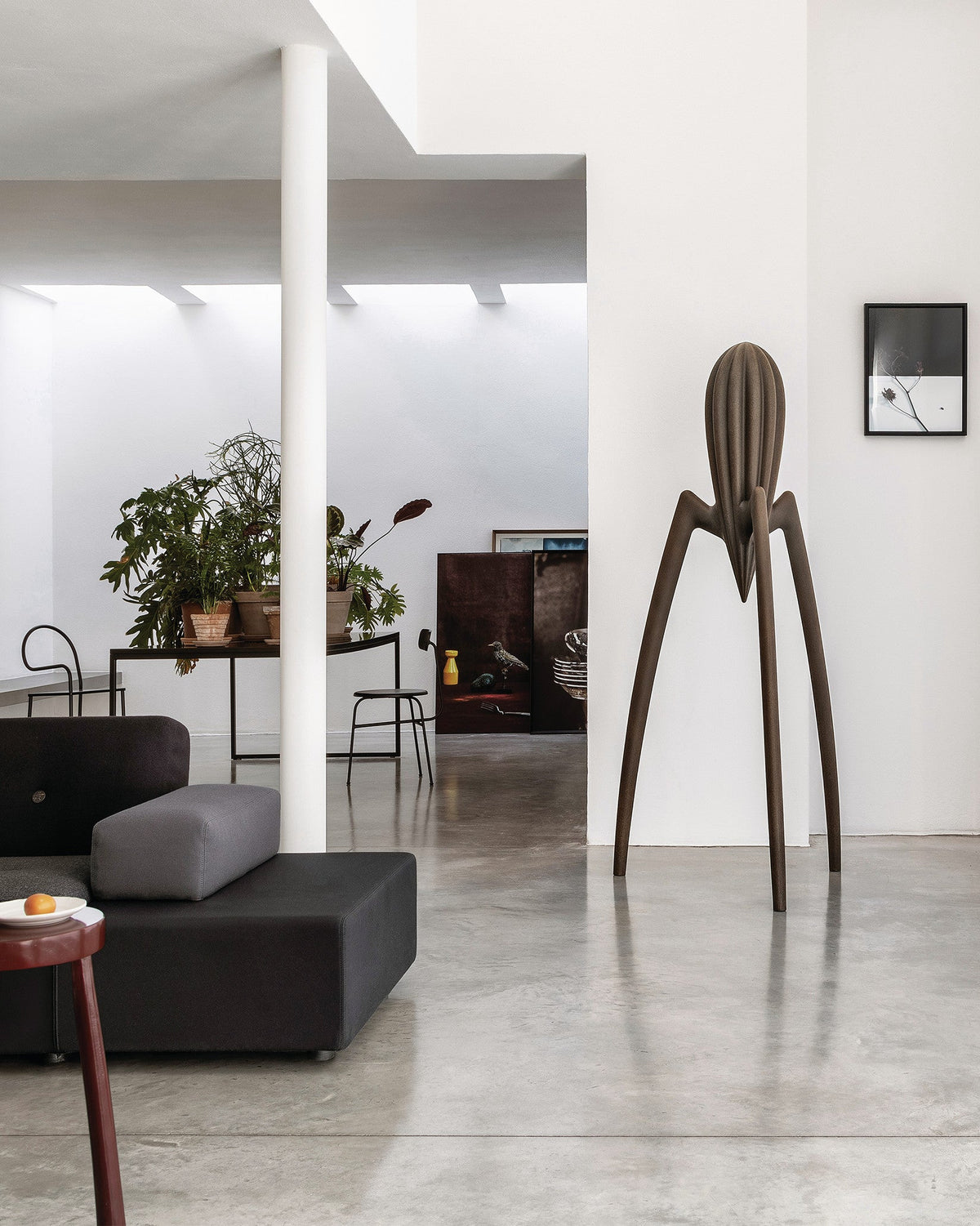 JUICY SALIF XXL 1.87M